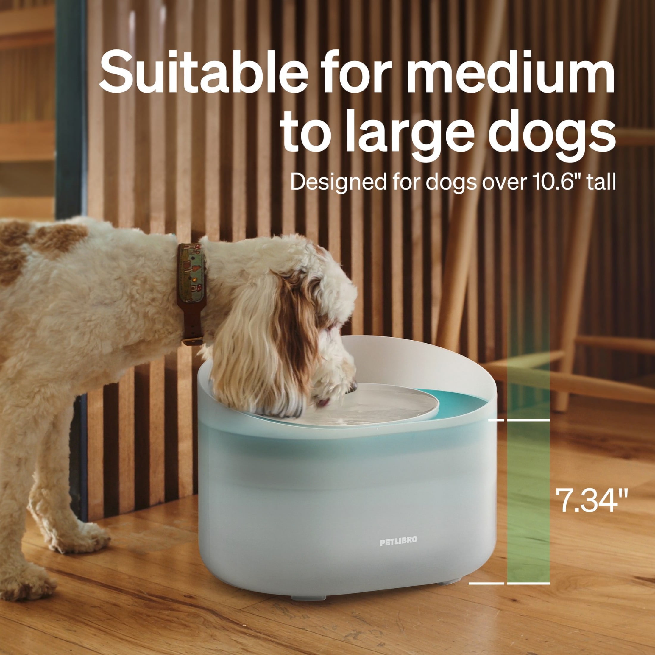 Petlibro 270oz/2.1Gal/8L Capsule Dog Water Fountain – Anti-Splash, Super Quiet Dispenser for Medium to Large Dogs, Ideal for Dogs, and Multi-Pet Homes - Image 3