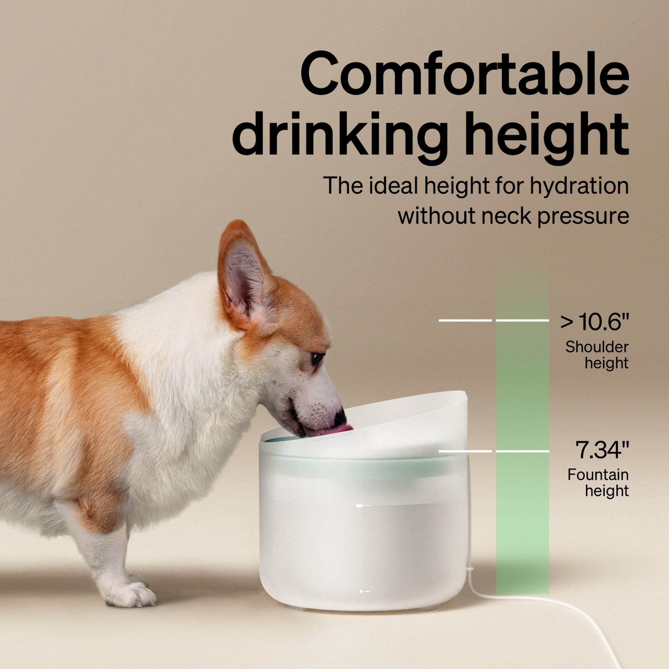 Petlibro 270oz/2.1Gal/8L Capsule Dog Water Fountain – Anti-Splash, Super Quiet Dispenser for Medium to Large Dogs, Ideal for Dogs, and Multi-Pet Homes - Image 9