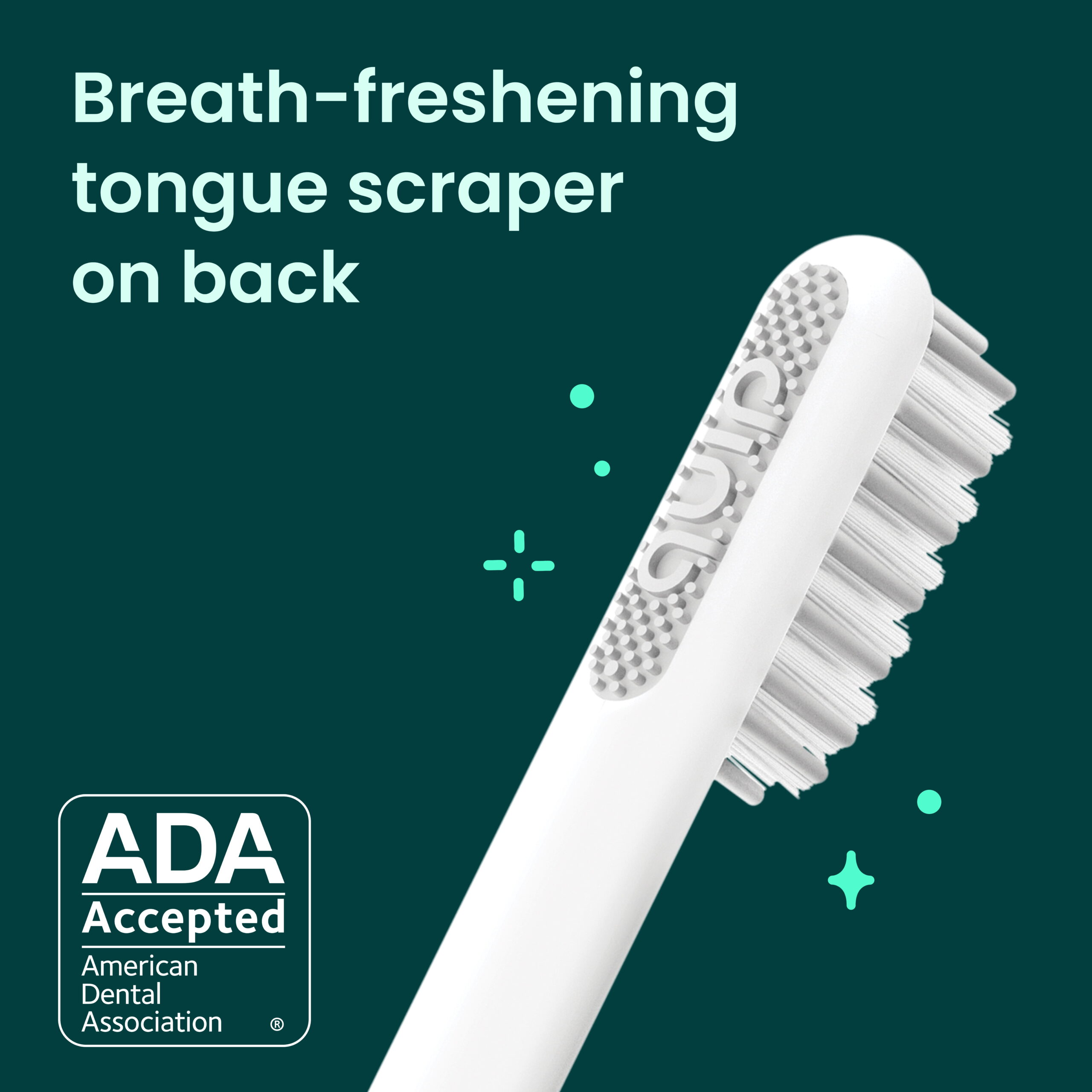 (3 pack) Quip Adult Electric Toothbrush Replacement Brush FullHead, Soft Bristles, Gum Care, 2 Pack - Image 6